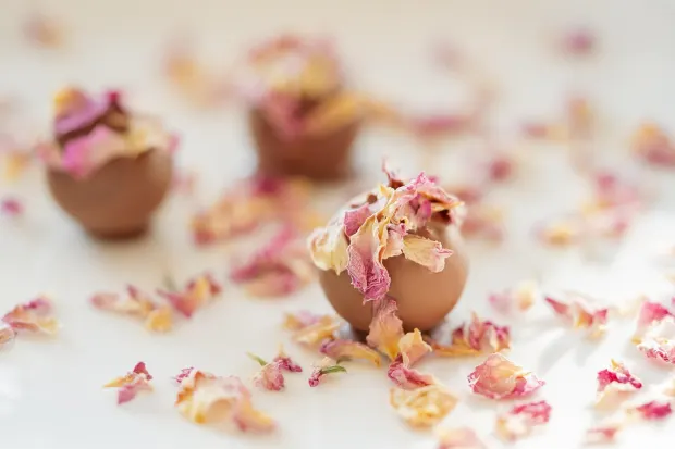 페달라다10 카지노 안드로이드/iOS 앱